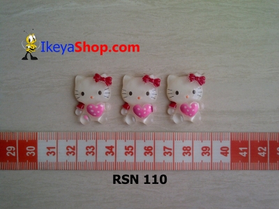 rsn 110  large2